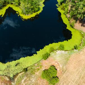 Photo #46 of Off NC Hwy 62 N, Burlington, NC 35.8 acres