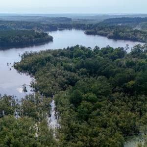 Photo #27 of 709 Everett’s Mill Rd, Rockingham, NC 273.4 acres