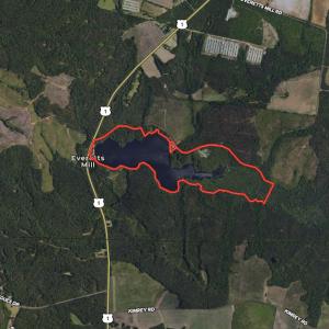 Photo #36 of 709 Everett’s Mill Rd, Rockingham, NC 273.4 acres