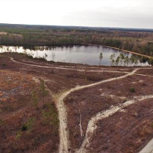 Photo #2 of SOLD property in 370 Cain Patch Road, Mt. Croghan, SC 33.0 acres