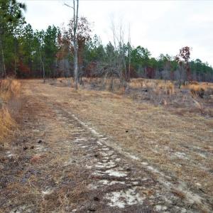 Photo #6 of SOLD property in 370 Cain Patch Road, Mt. Croghan, SC 33.0 acres