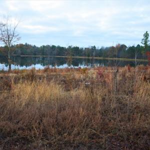 Photo #7 of SOLD property in 370 Cain Patch Road, Mt. Croghan, SC 33.0 acres