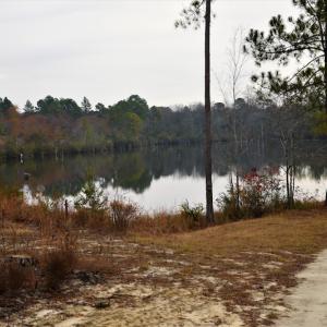Photo #8 of SOLD property in 370 Cain Patch Road, Mt. Croghan, SC 33.0 acres