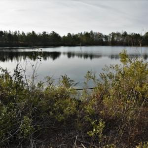 Photo #9 of SOLD property in 370 Cain Patch Road, Mt. Croghan, SC 33.0 acres