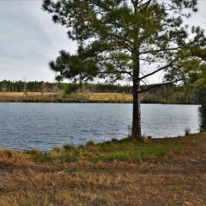Photo #10 of SOLD property in 370 Cain Patch Road, Mt. Croghan, SC 33.0 acres