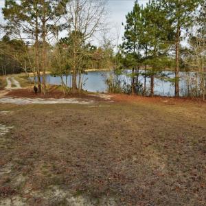 Photo #11 of SOLD property in 370 Cain Patch Road, Mt. Croghan, SC 33.0 acres