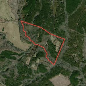 Photo #1 of SOLD property in 479 Autumn Drive, Ridgeway, SC 131.2 acres