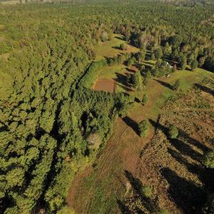 Photo #3 of SOLD property in 479 Autumn Drive, Ridgeway, SC 131.2 acres