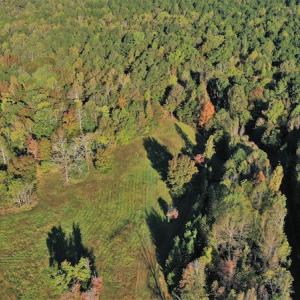 Photo #5 of SOLD property in 479 Autumn Drive, Ridgeway, SC 131.2 acres
