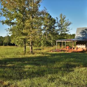 Photo #8 of SOLD property in 479 Autumn Drive, Ridgeway, SC 131.2 acres