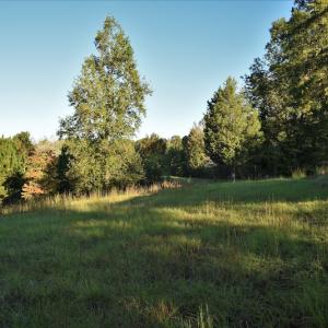 Photo #9 of SOLD property in 479 Autumn Drive, Ridgeway, SC 131.2 acres
