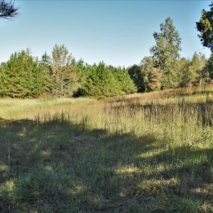 Photo #10 of SOLD property in 479 Autumn Drive, Ridgeway, SC 131.2 acres