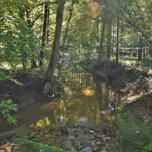 Photo #11 of SOLD property in 479 Autumn Drive, Ridgeway, SC 131.2 acres