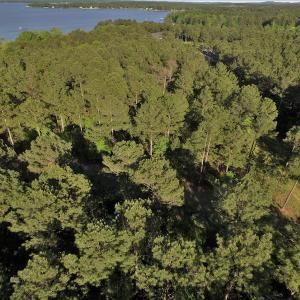 Photo #9 of SOLD property in 608 Westshore Drive, Ridgeway, SC 15.9 acres