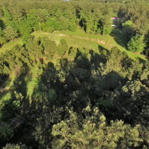Photo #10 of SOLD property in 608 Westshore Drive, Ridgeway, SC 15.9 acres
