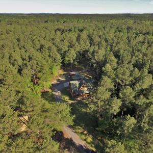 Photo #3 of SOLD property in 608 Westshore Drive, Ridgeway, SC 15.9 acres