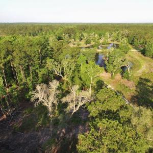 Photo #2 of SOLD property in Off Grahamville Road, Conway, SC 1,020.2 acres