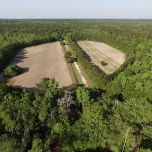Photo #3 of SOLD property in Off Grahamville Road, Conway, SC 1,020.2 acres