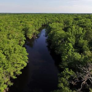 Photo #4 of SOLD property in Off Grahamville Road, Conway, SC 1,020.2 acres
