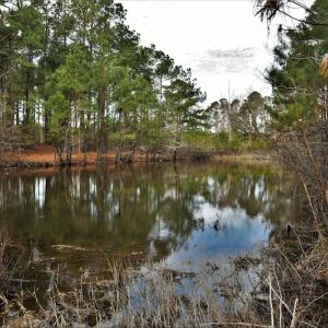 Photo #5 of SOLD property in Off Grahamville Road, Conway, SC 1,020.2 acres