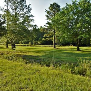 Photo #6 of SOLD property in Off Grahamville Road, Conway, SC 1,020.2 acres