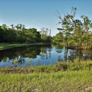 Photo #7 of SOLD property in Off Grahamville Road, Conway, SC 1,020.2 acres
