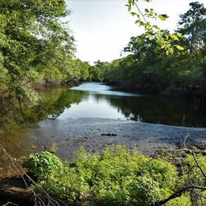 Photo #9 of SOLD property in Off Grahamville Road, Conway, SC 1,020.2 acres