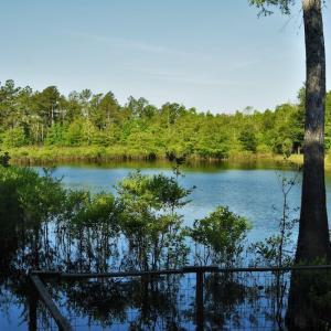 Photo #10 of SOLD property in Off Grahamville Road, Conway, SC 1,020.2 acres