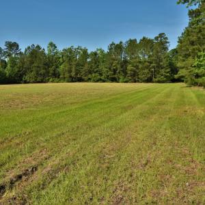 Photo #11 of SOLD property in Off Grahamville Road, Conway, SC 1,020.2 acres