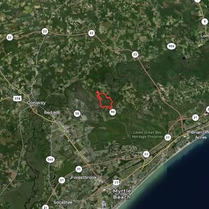 Photo #12 of SOLD property in Off Grahamville Road, Conway, SC 1,020.2 acres