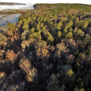 Photo #3 of SOLD property in 1315 Cantey Hill Lane, Camden, SC 50.6 acres