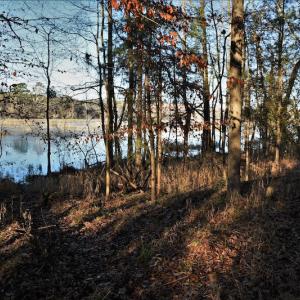 Photo #6 of SOLD property in 1315 Cantey Hill Lane, Camden, SC 50.6 acres
