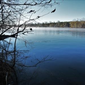 Photo #7 of SOLD property in 1315 Cantey Hill Lane, Camden, SC 50.6 acres