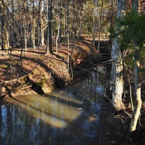 Photo #9 of SOLD property in 1315 Cantey Hill Lane, Camden, SC 50.6 acres