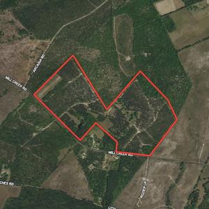 Photo #1 of SOLD property in 2650 Mill Creek Road, Bethune, SC 102.0 acres