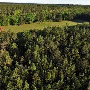 Photo #2 of SOLD property in 2650 Mill Creek Road, Bethune, SC 102.0 acres