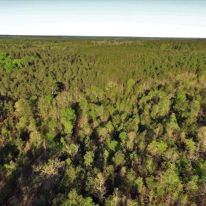 Photo #3 of SOLD property in 2650 Mill Creek Road, Bethune, SC 102.0 acres