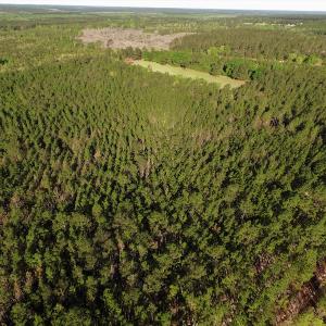 Photo #4 of SOLD property in 2650 Mill Creek Road, Bethune, SC 102.0 acres