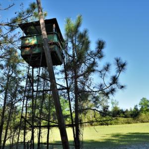 Photo #6 of SOLD property in 2650 Mill Creek Road, Bethune, SC 102.0 acres