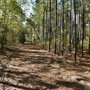 Photo #8 of SOLD property in 2650 Mill Creek Road, Bethune, SC 102.0 acres