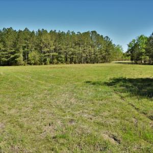 Photo #11 of SOLD property in 2650 Mill Creek Road, Bethune, SC 102.0 acres