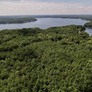 Photo #14 of SOLD property in Off Warren County Acres Road , Littleton, NC 8.0 acres