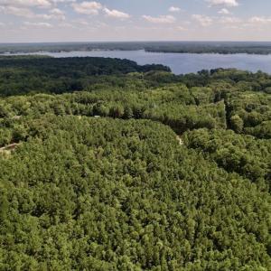 Photo #15 of SOLD property in Off Warren County Acres Road , Littleton, NC 8.0 acres