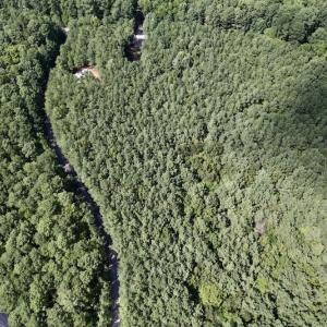 Photo #8 of SOLD property in Off Warren County Acres Road , Littleton, NC 8.0 acres