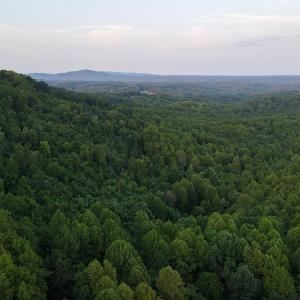 Photo #10 of SOLD property in Off Terrys Mountain Rd, Martinsville, VA 85.5 acres