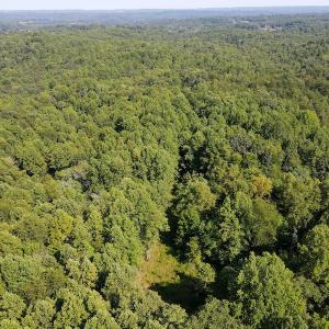 Photo #11 of Off Terrys Mountain Rd, Martinsville, VA 85.5 acres