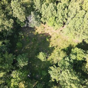 Photo #12 of SOLD property in Off Terrys Mountain Rd, Martinsville, VA 85.5 acres