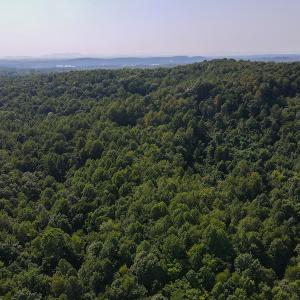 Photo #13 of SOLD property in Off Terrys Mountain Rd, Martinsville, VA 85.5 acres