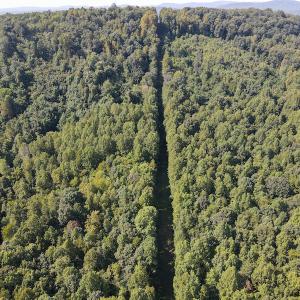 Photo #14 of Off Terrys Mountain Rd, Martinsville, VA 85.5 acres