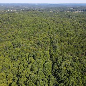 Photo #15 of SOLD property in Off Terrys Mountain Rd, Martinsville, VA 85.5 acres